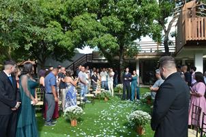 Plantas: imagem 2 de 15